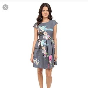 Ted Baker Dress, Size 0, Light Gray